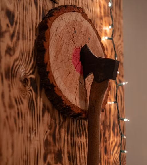 Axe stuck in a wood slice target with string lights